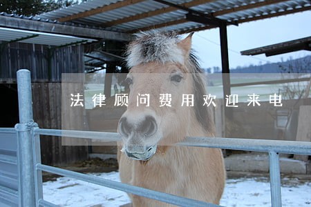 法律顾问费用欢迎来电 法律顾问费用欢迎来电