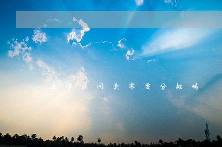 法律顾问费需要分摊吗 法律顾问费需要分摊吗