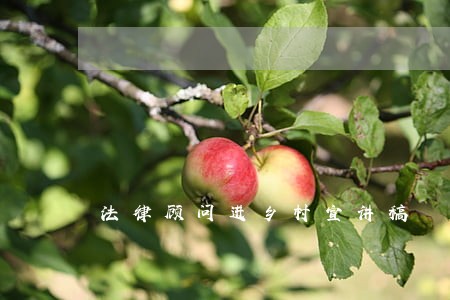 法律顾问进乡村宣讲稿 法律顾问进乡村宣讲稿