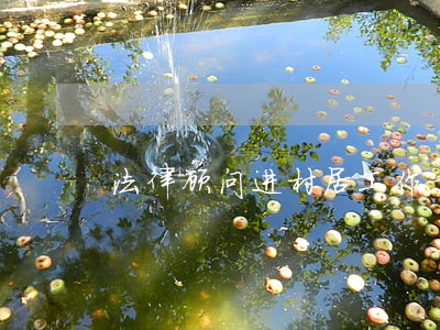法律顾问进村居工作方案