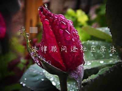 法律顾问进社区学法 法律顾问进社区学法