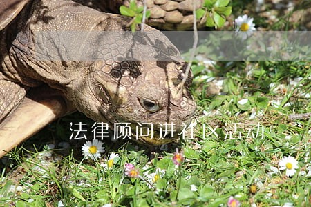 法律顾问进社区活动