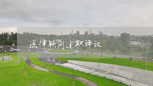 法律顾问述职评议 法律顾问述职评议