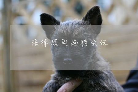 法律顾问选聘会议 法律顾问选聘会议