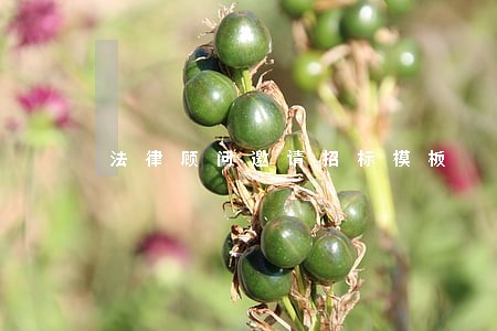 法律顾问邀请招标模板 法律顾问邀请招标模板