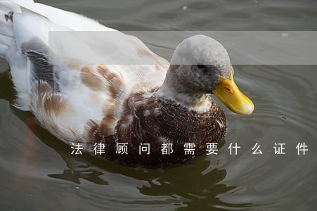 法律顾问都需要什么证件 法律顾问都需要什么证件