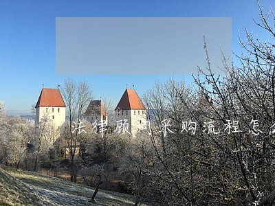 法律顾问采购流程怎么写 法律顾问采购流程怎么写