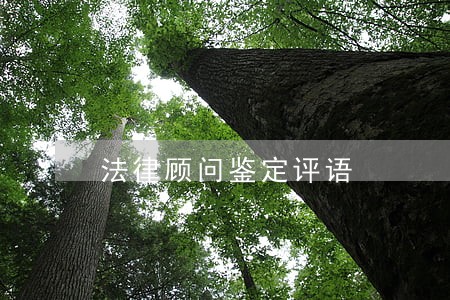 法律顾问鉴定评语 法律顾问鉴定评语