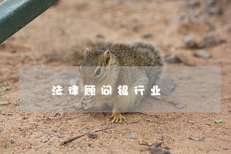 法律顾问银行业 法律顾问银行业