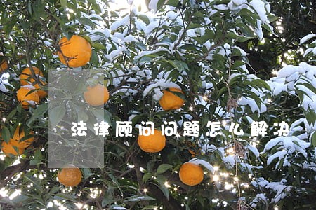法律顾问问题怎么解决 法律顾问问题怎么解决