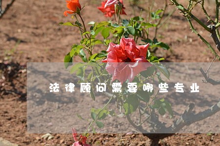 法律顾问需要哪些专业 法律顾问需要哪些专业