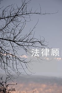 法律顾问需要律师证 法律顾问需要律师证