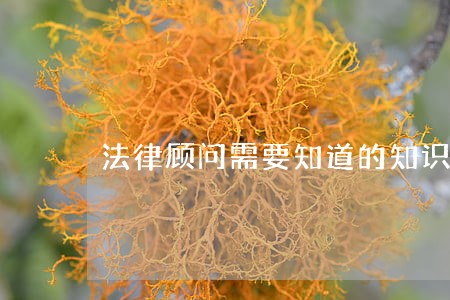 法律顾问需要知道的知识