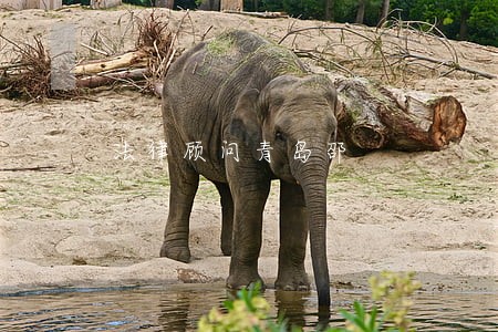 法律顾问青岛邵 法律顾问青岛邵