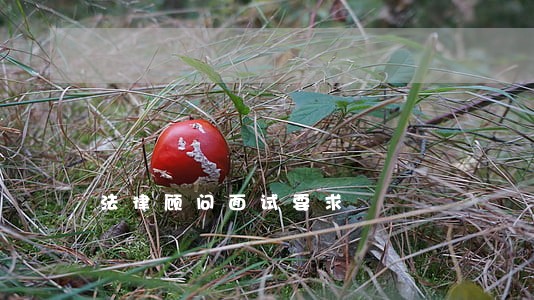 法律顾问面试要求 法律顾问面试要求