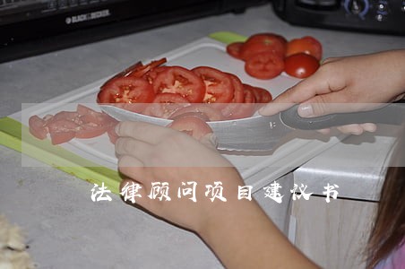 法律顾问项目建议书 法律顾问项目建议书