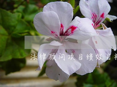 法律顾问项目绩效目标 法律顾问项目绩效目标