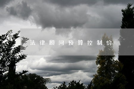 法律顾问预算控制价 法律顾问预算控制价
