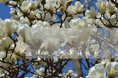 法律顾问预算绩效表 法律顾问预算绩效表