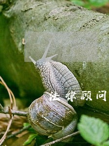 法律顾问预算项目库 法律顾问预算项目库