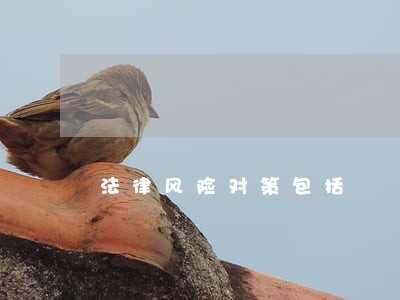 法律风险对策包括 法律风险对策包括