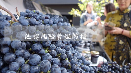 法律风险管理防控 法律风险管理防控