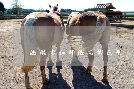 法报考和司法考试区别 法报考和司法考试区别