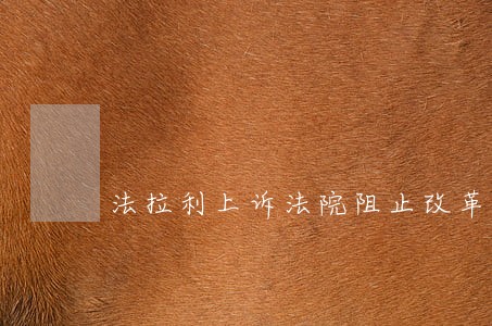 法拉利上诉法院阻止改革 法拉利上诉法院阻止改革