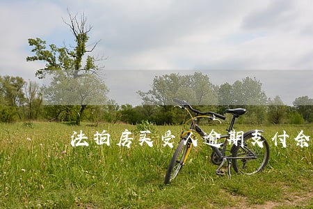 法拍房买受人逾期支付余款