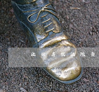 法拍房被法院查封的房子能买吗 法拍房被法院查封的房子能买吗