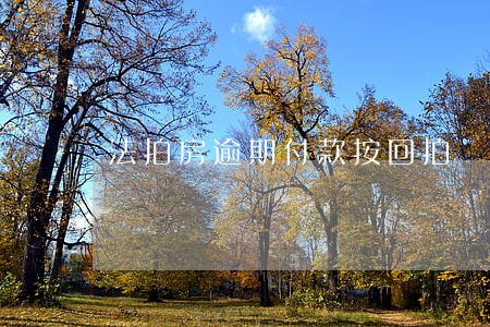 法拍房逾期付款按回拍 法拍房逾期付款按回拍