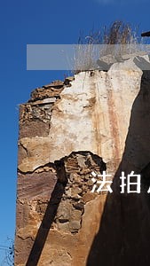 法拍房逾期付款案例 法拍房逾期付款案例