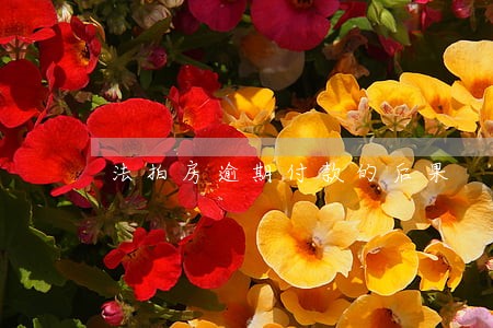 法拍房逾期付款的后果 法拍房逾期付款的后果