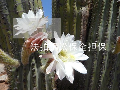 法拍诉讼保全担保 法拍诉讼保全担保