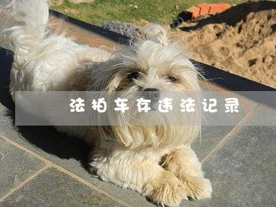法拍车存违法记录