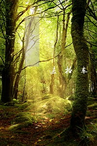 法拍车逾期两年未检验可以补检吗 法拍车逾期两年未检验可以补检吗