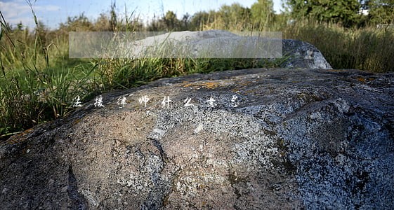法援律师什么意思