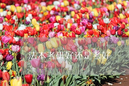法本考研好还是考好 法本考研好还是考好