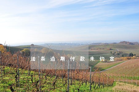 法条逾期付款未约定 法条逾期付款未约定