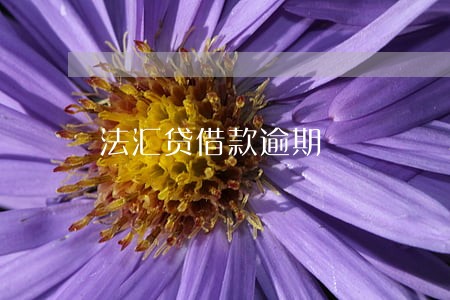 法汇贷借款逾期 法汇贷借款逾期