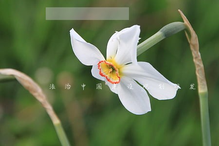 法治中国建设规划印发 法治中国建设规划印发