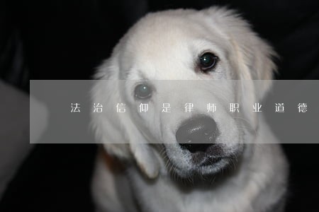 法治信仰是律师职业道德建设之本