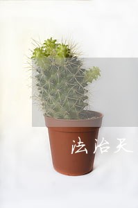 法治天下公益诉讼 法治天下公益诉讼