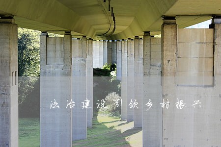 法治建设引领乡村振兴 法治建设引领乡村振兴