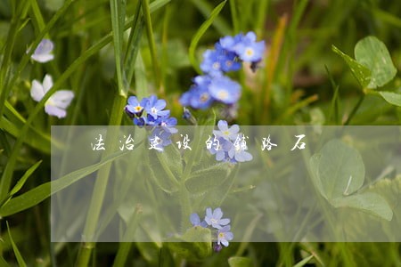 法治建设的铺路石 法治建设的铺路石