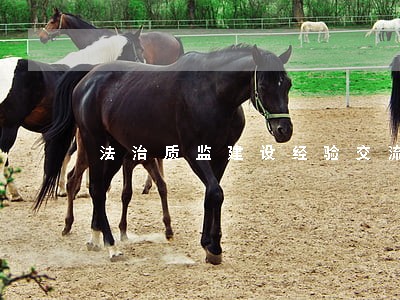 法治质监建设经验交流 法治质监建设经验交流