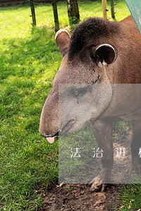 法治进校园法律咨询 法治进校园法律咨询