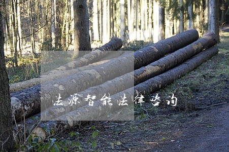 法源智能法律咨询 法源智能法律咨询