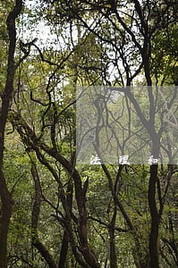 法理和民法部分 法理和民法部分
