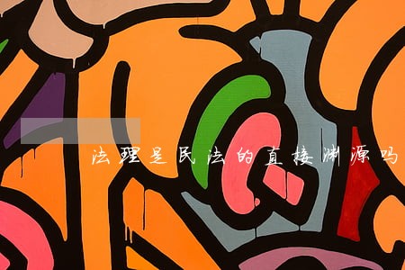 法理是民法的直接渊源吗 法理是民法的直接渊源吗